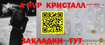 гашик Будённовск